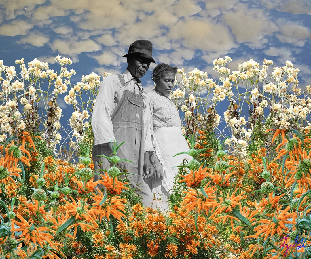 Daydream of a Sharecropper's Daughter