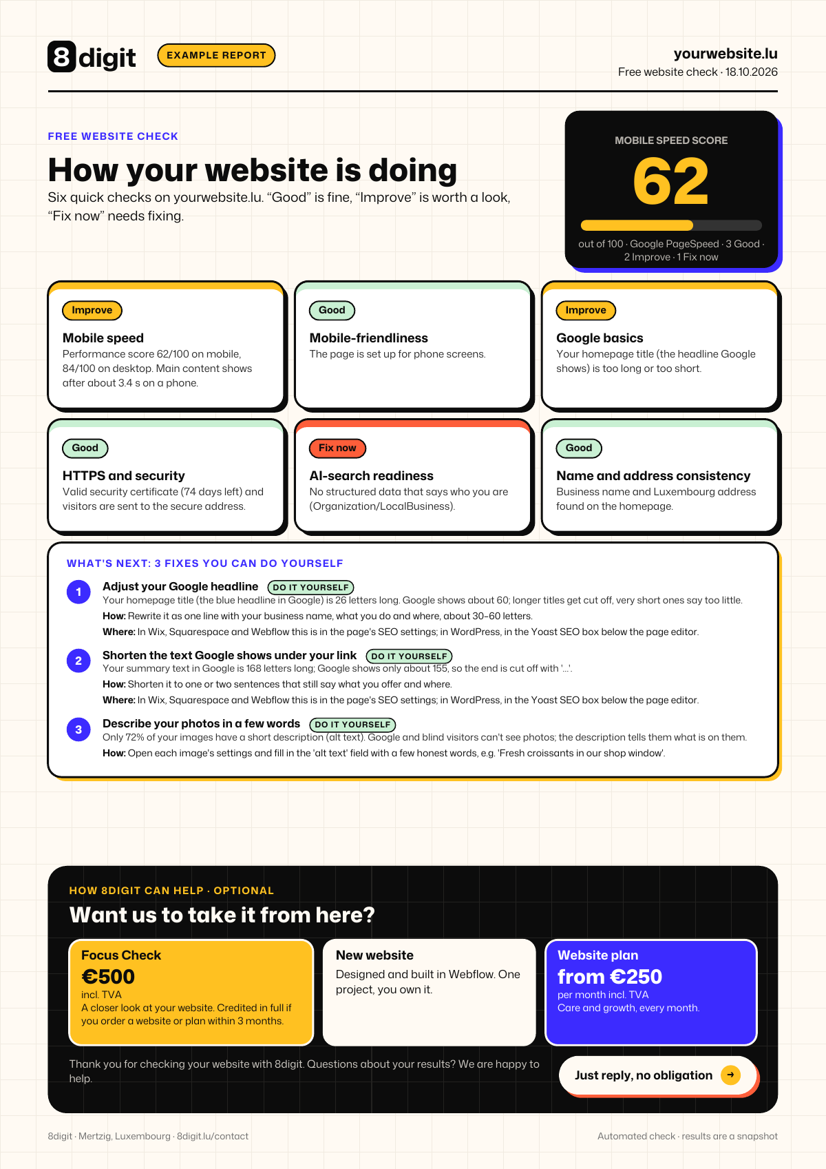 Example 8digit website check report