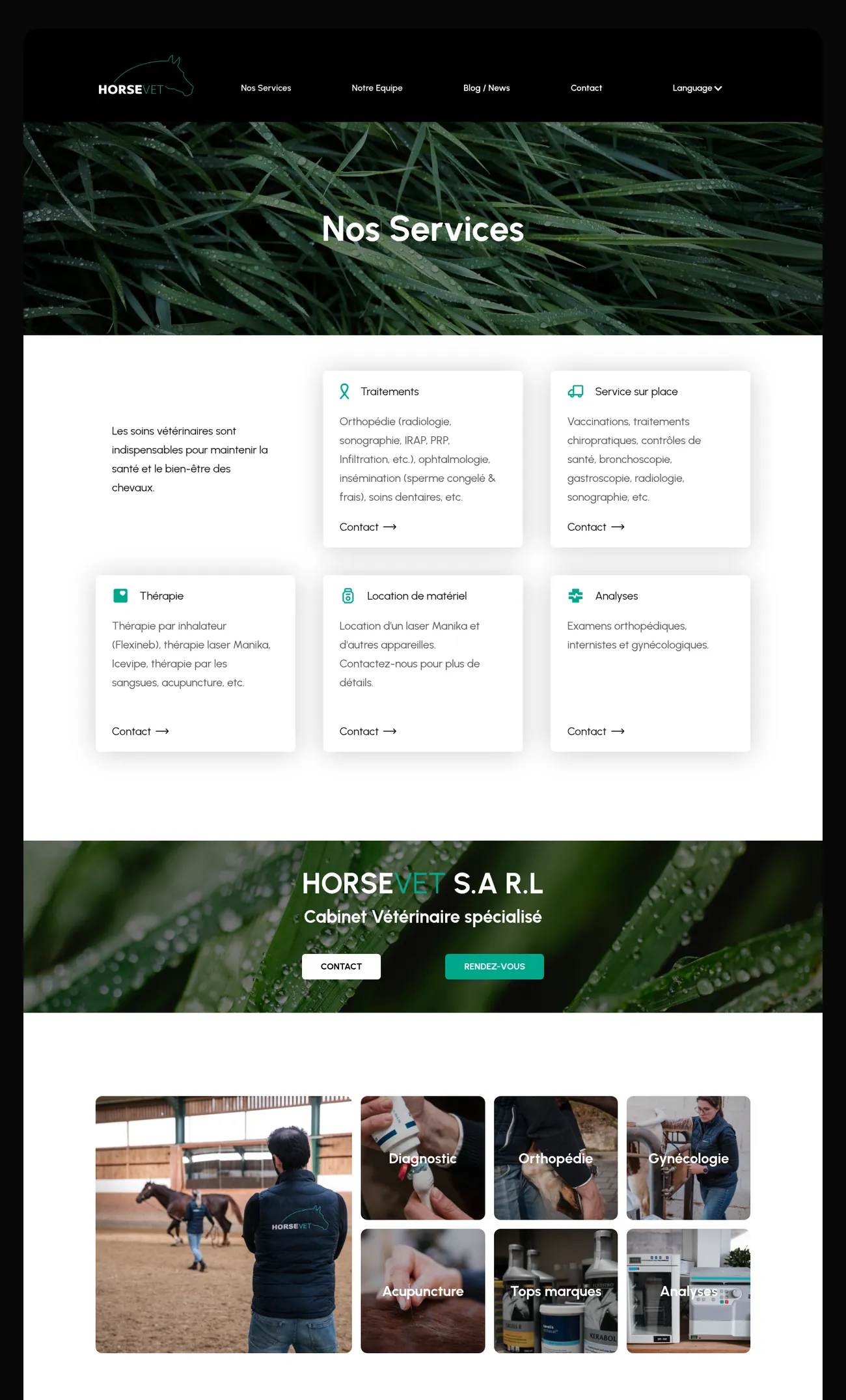 HorseVet website gallery