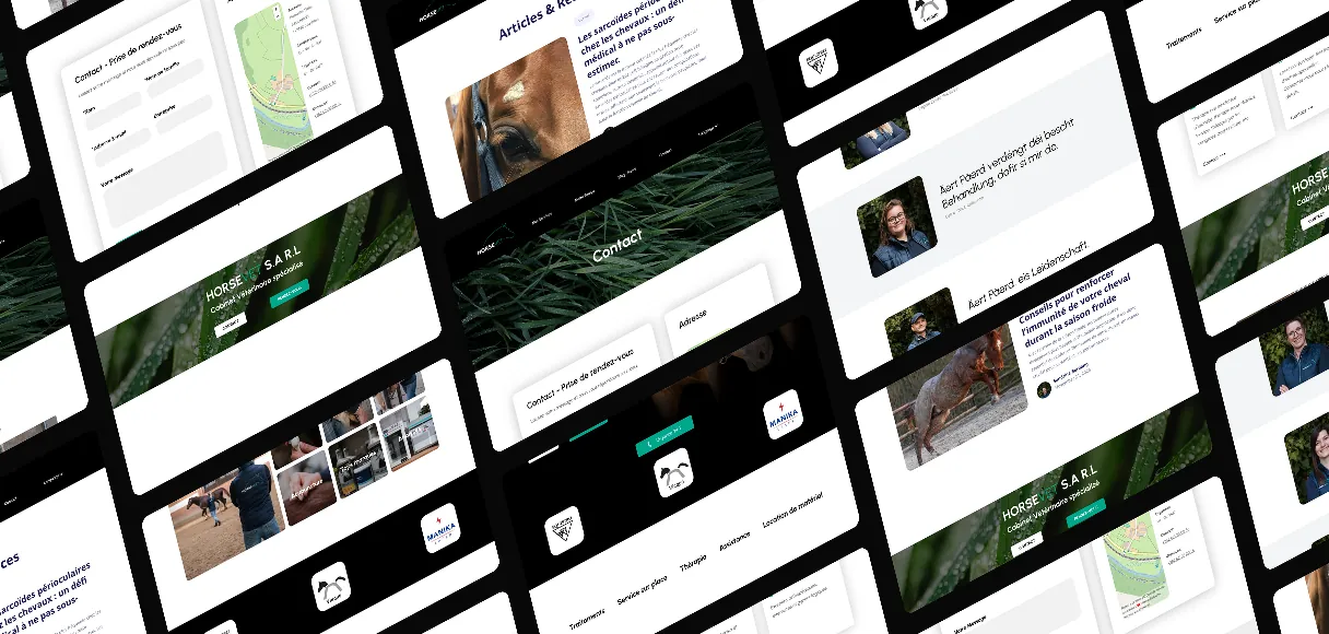 HorseVet website gallery