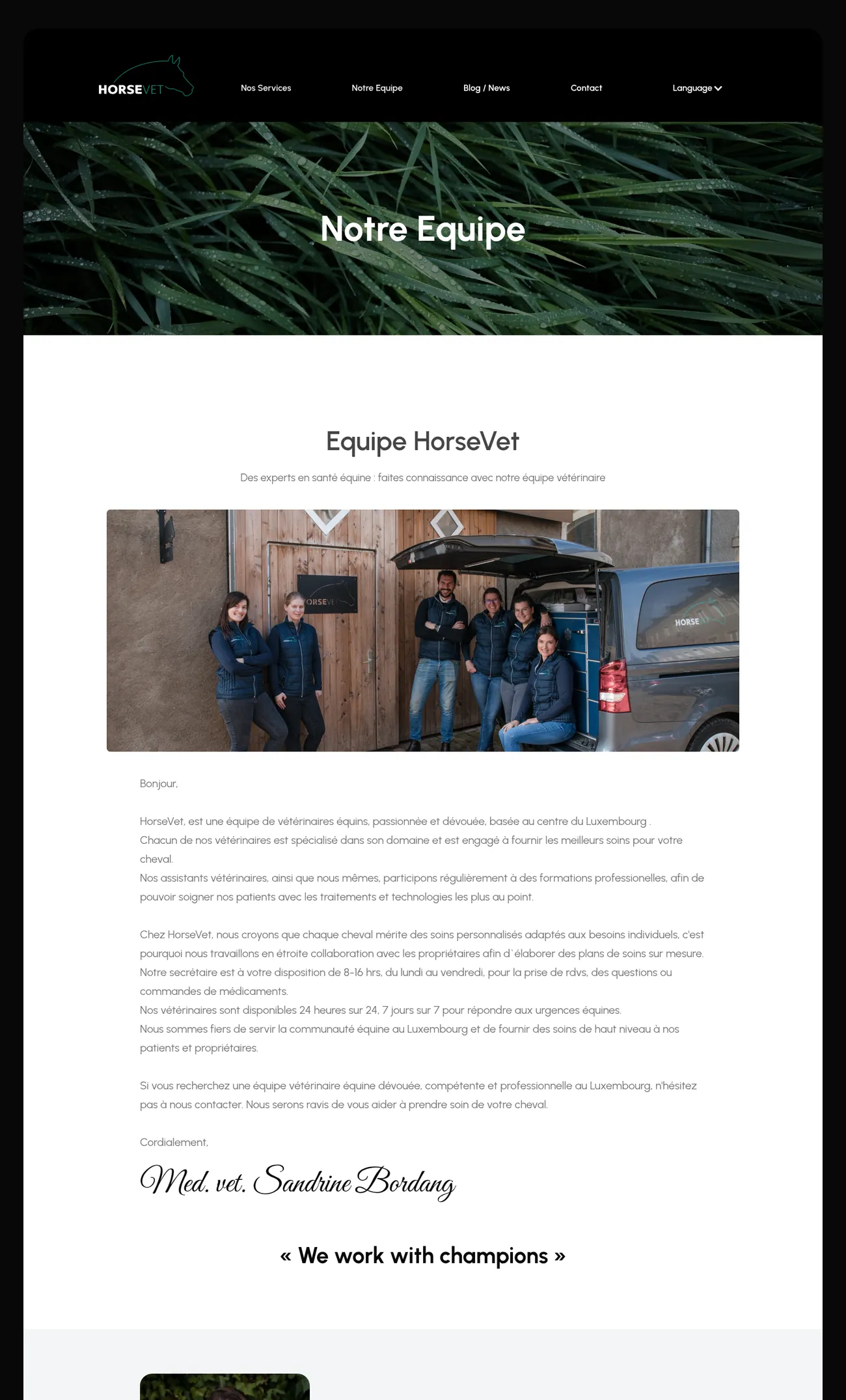 HorseVet website gallery