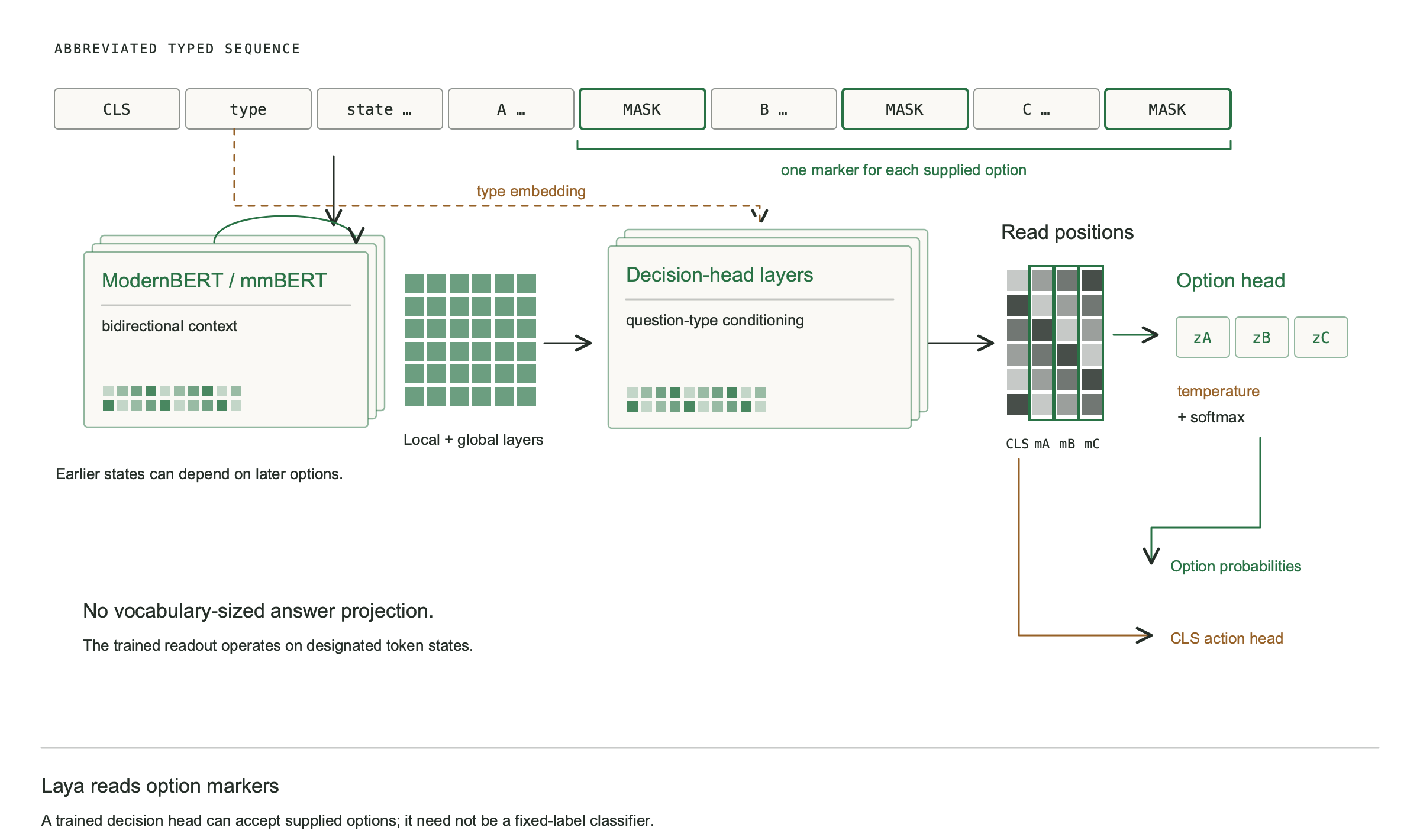An encoder processes the question and options together, then a decision head scores option markers.