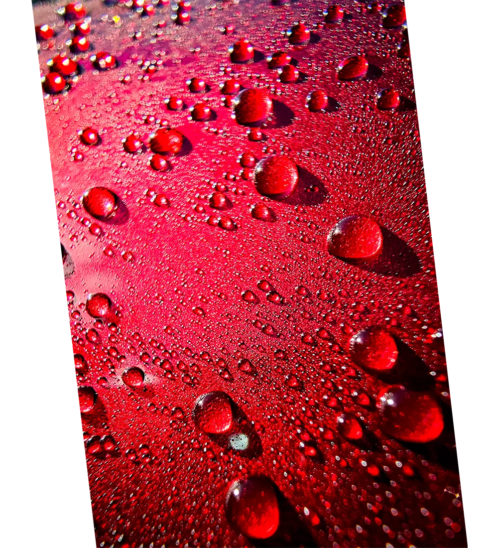 Close-up of water droplets beading on a shiny red surface, illustrating water repellency.