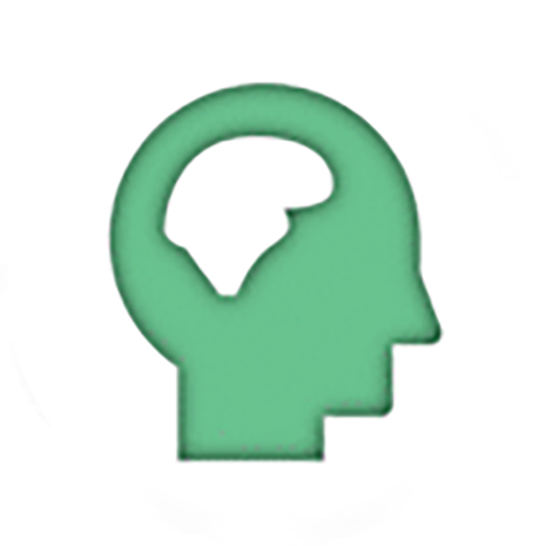 Household Challenges - Mental Illness