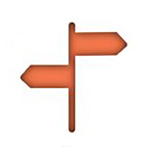 Adjustment or Other Major Life Changes