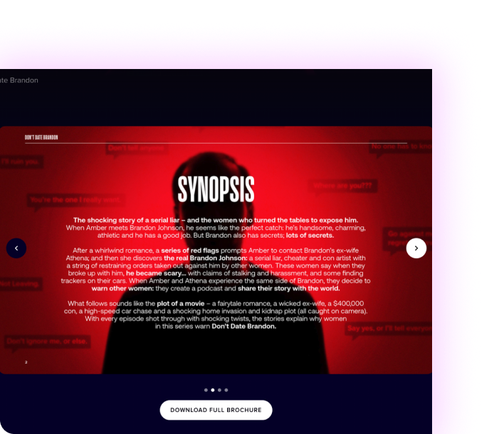 A custom block displaying the synopsis of a programme