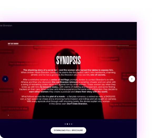 A custom block displaying the synopsis of a programme