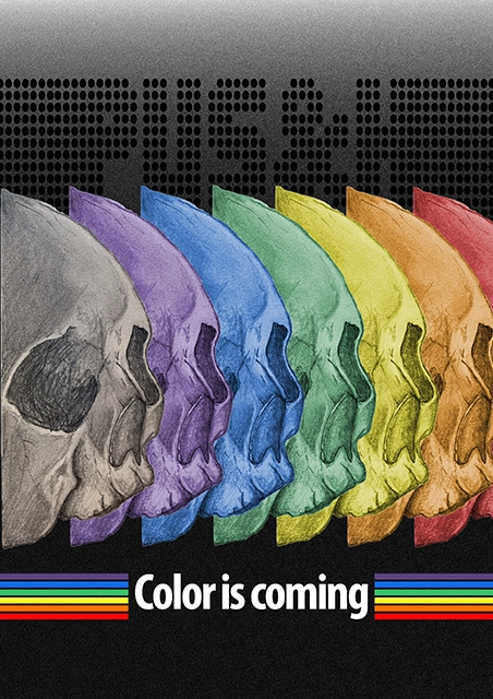 Six crânes en dégradé de couleurs sur fond noir, teaser collection PUS&H