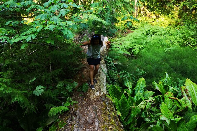 Secrets of Vancouver Island Walking Tour - Fresh Adventures