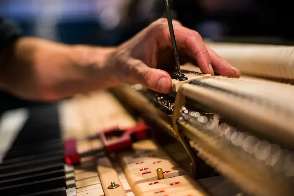 Maintenance of any piano brands.
