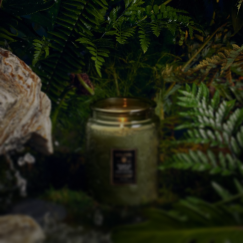 jar around the plants