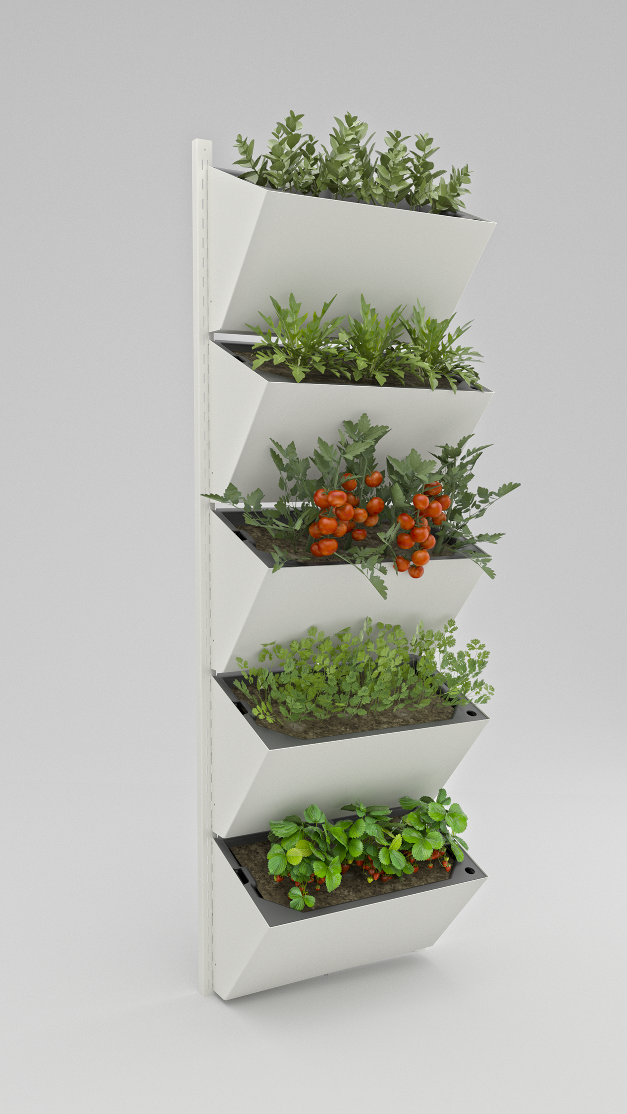 3D-rendret produktbilde av fem Polliwall-moduler med planter