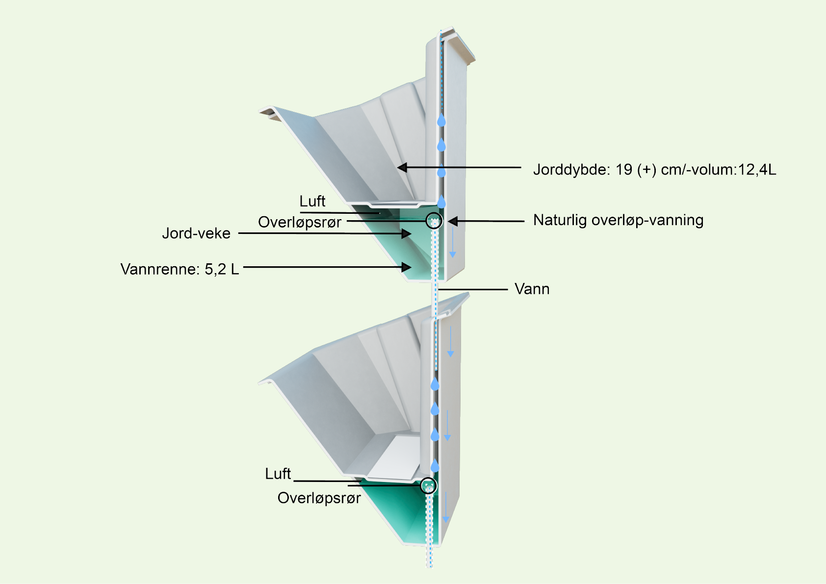 3D-illustrasjon av hvordan Ecodrains taksystem vanner planter med kapillærkraft