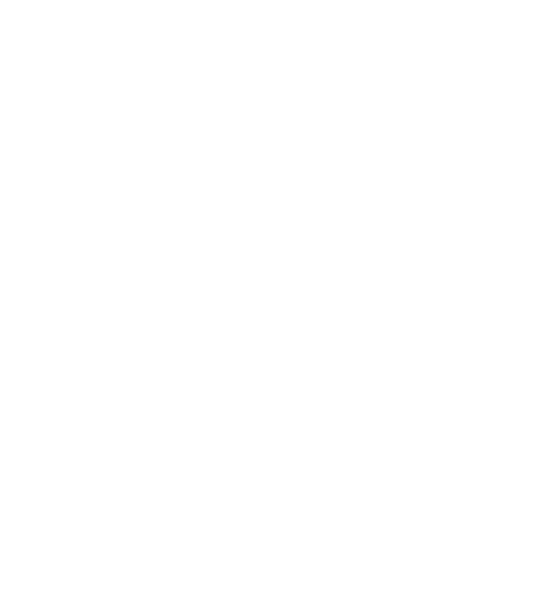 Flownity Studio Logo