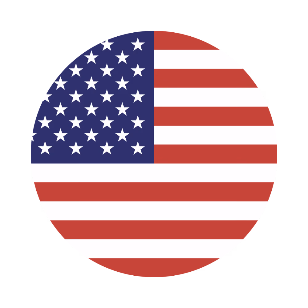 USA flag icon
