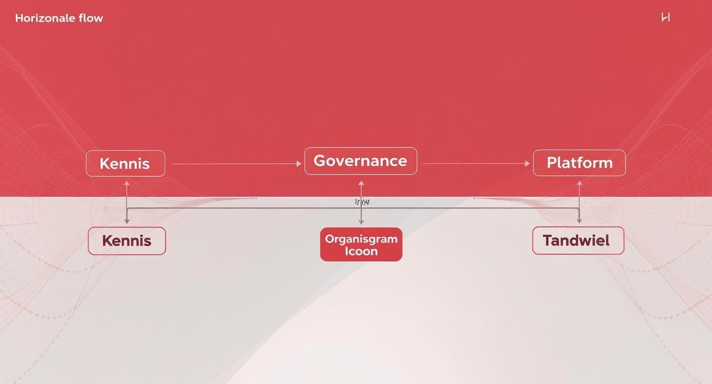 Infographic die de belangrijkste valkuilen van low code development laat zien: Kennis, Governance en het kiezen van het juiste Platform.