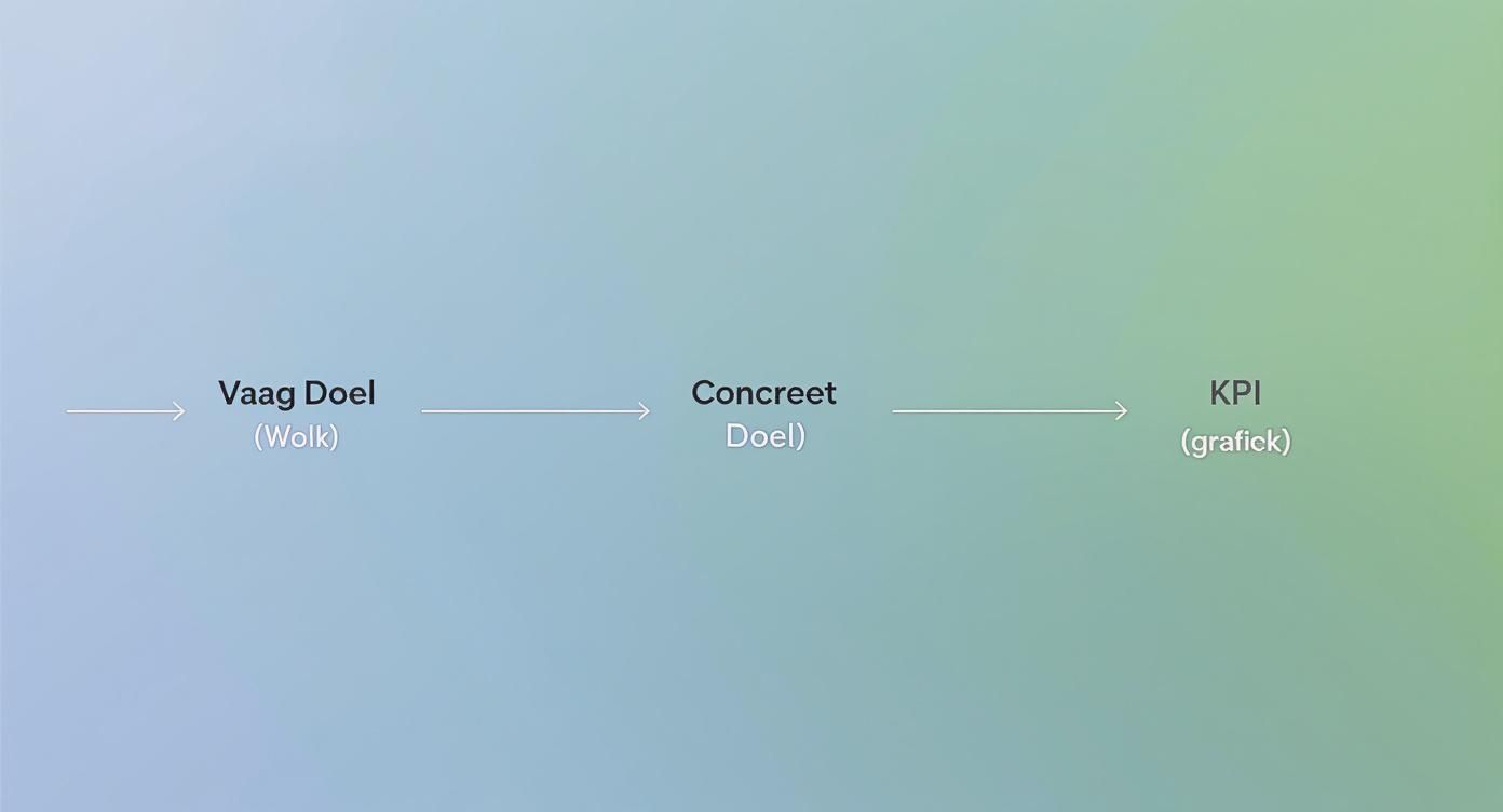 Infographic about online marketing advies