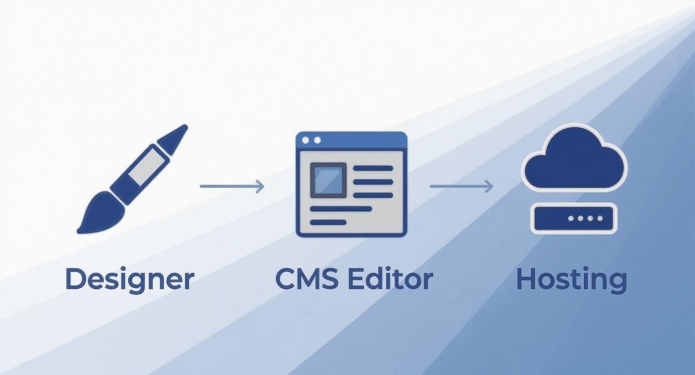 Infographic about wat is webflow