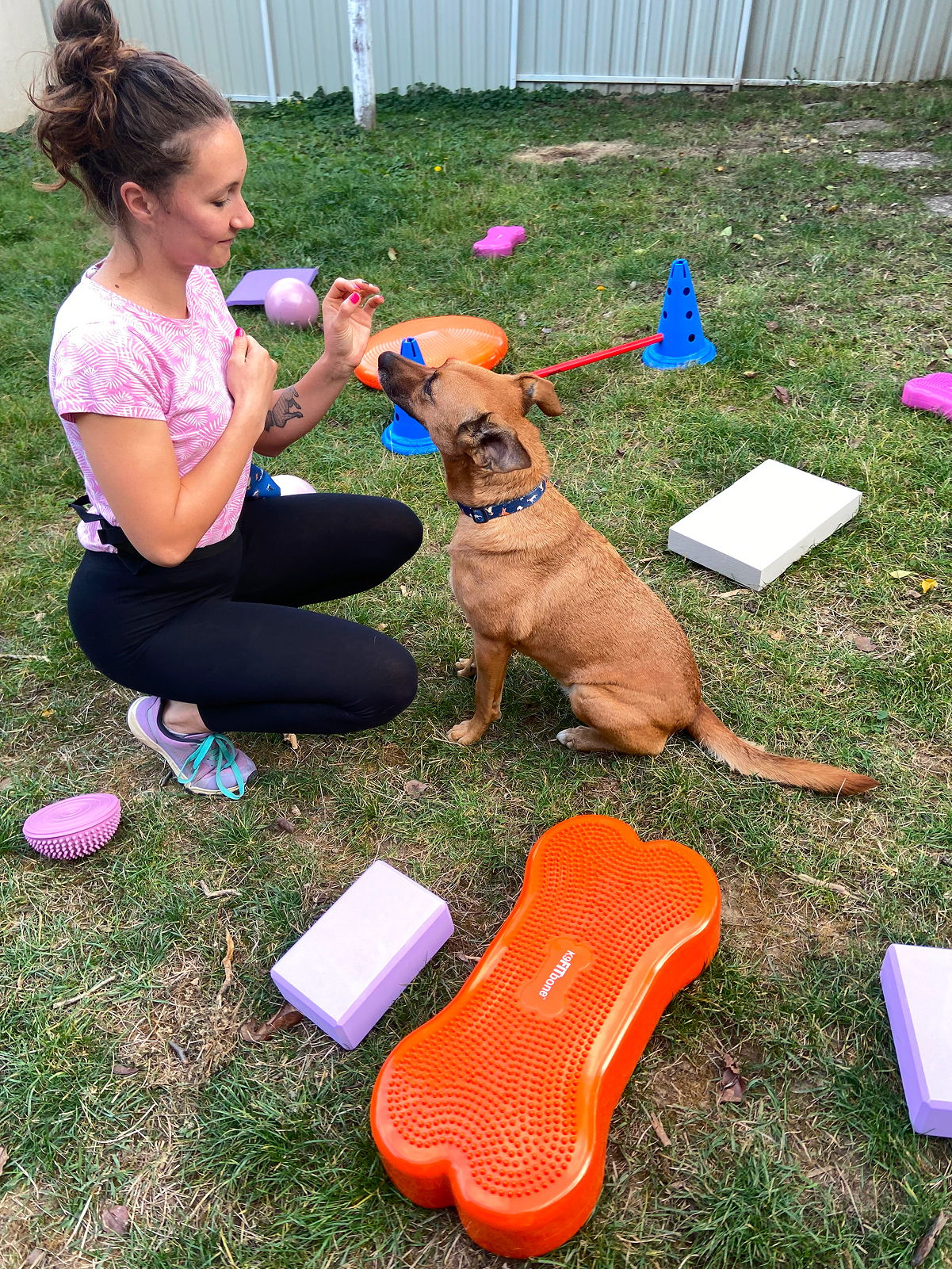Egy fizioterapeuta jutalommal irányít egy közepes testű kutyát a feladatra való fókuszálásban. A kutya ülő helyzetben várja az utasítást, a környezetben pedig számos terápiás eszköz – egyensúlyozó platform, jógatéglák, félgömbök – előkészítve látható.