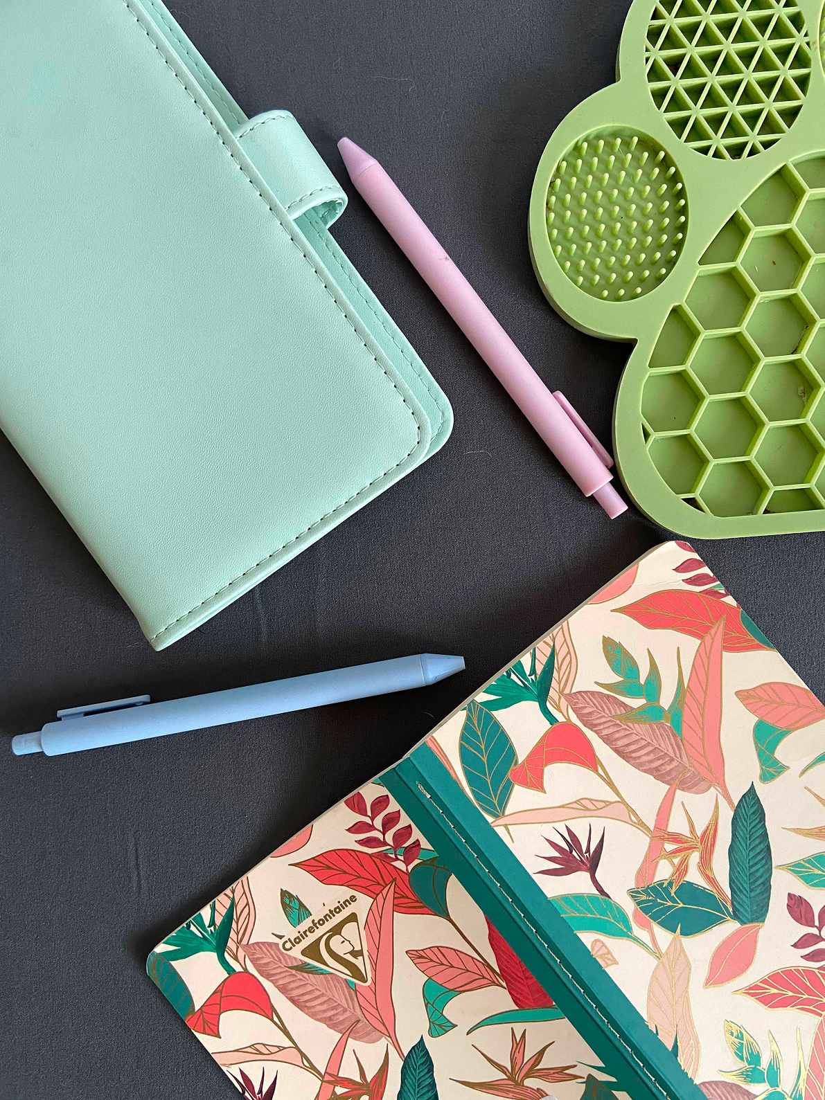 image of animal training session