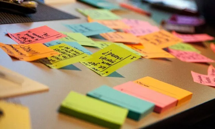 projektový management