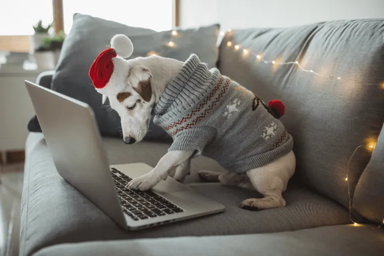 funkce hlídací pes na e-shopu