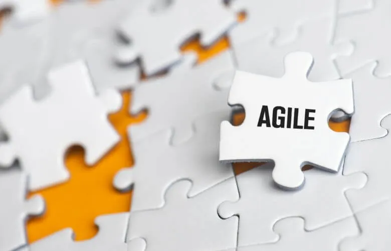 agilní řízení týmu webdevelopment