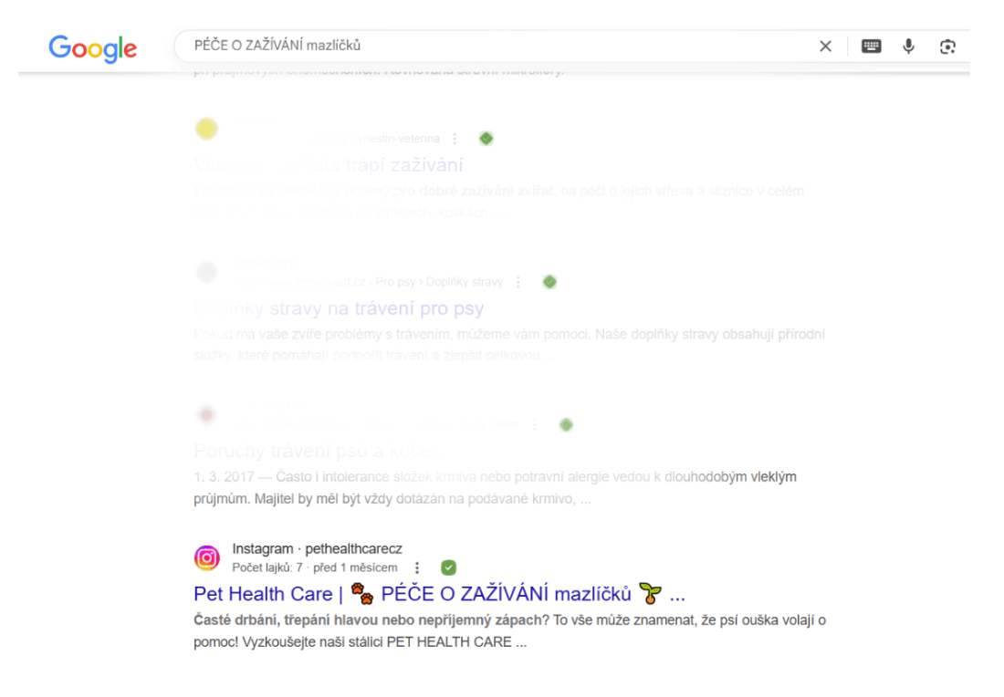Instagramový profil ve vyhledávači