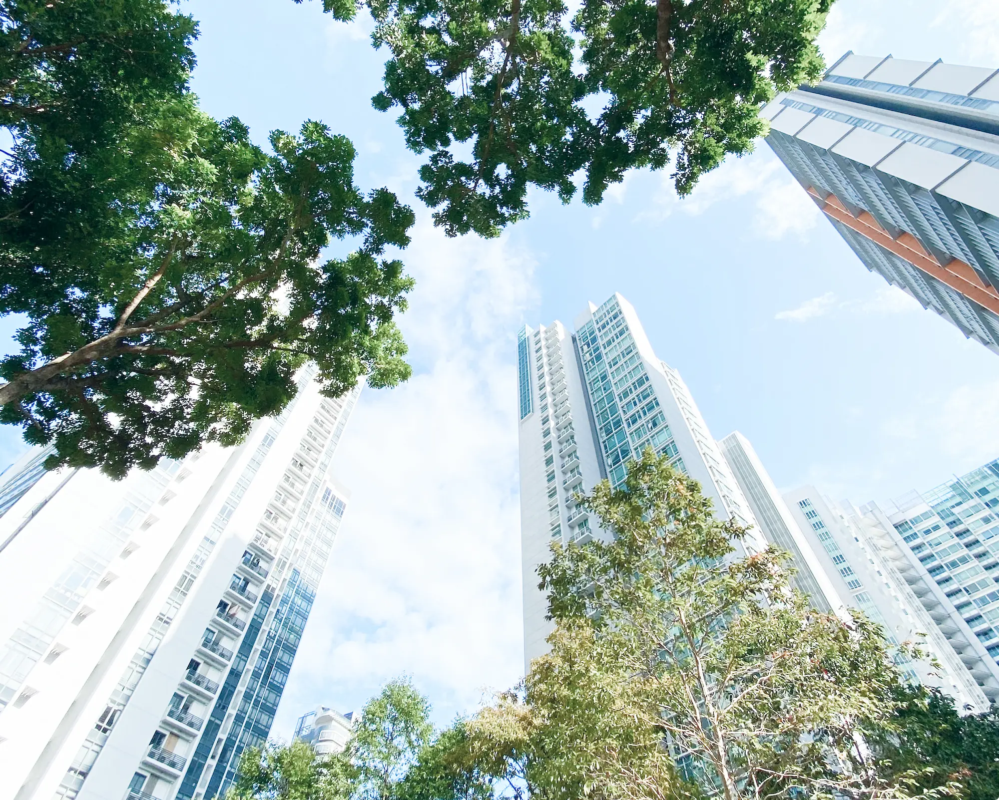 LEAFTECH - Mission and Vision