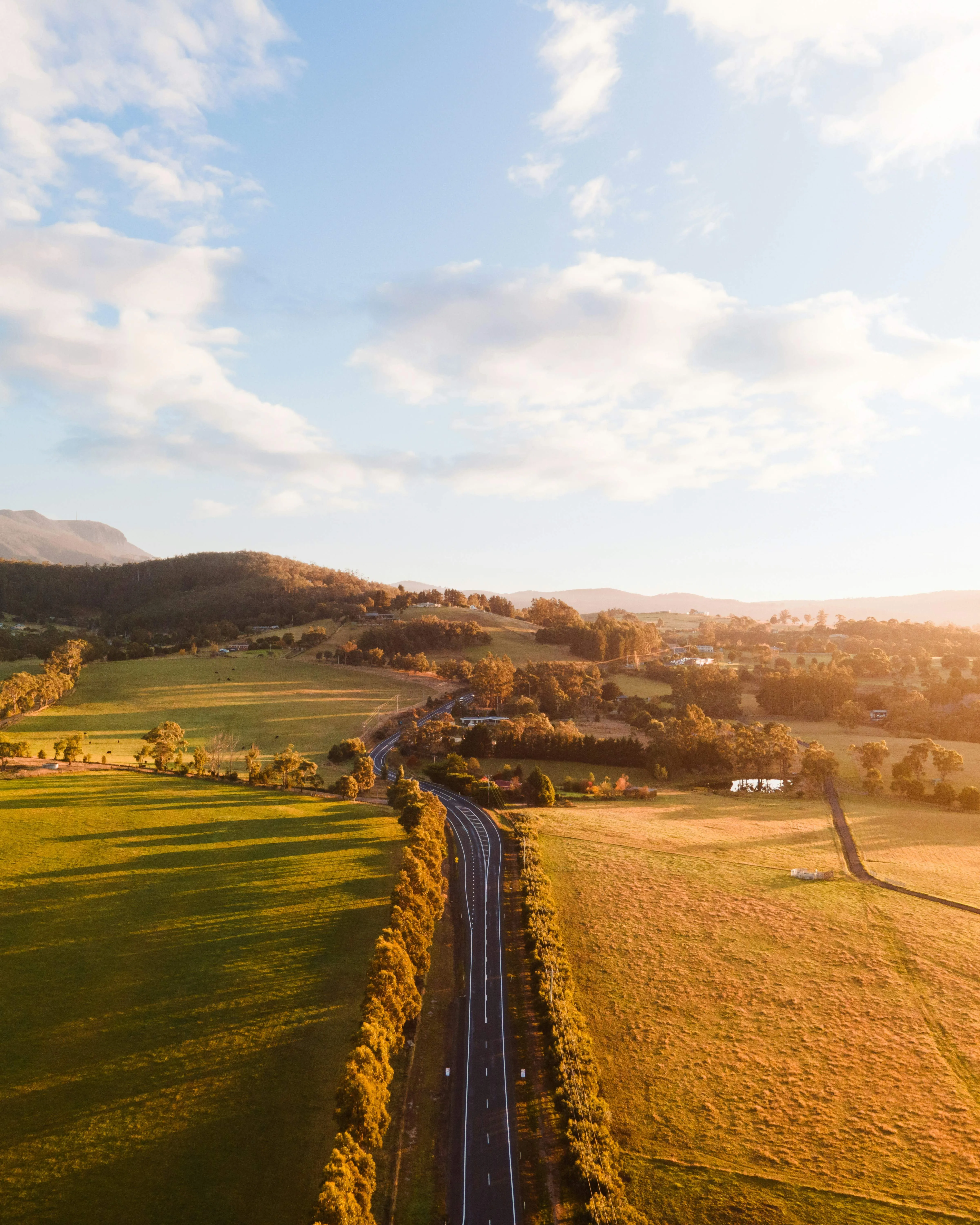 A winding road cutting through golden fields and hills.