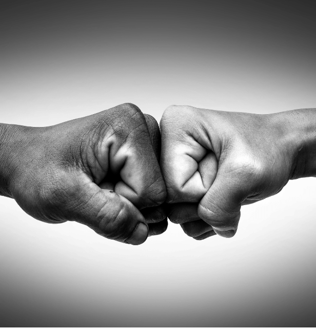 Black and white image of two fists bumping each other showing unity and solidarity.