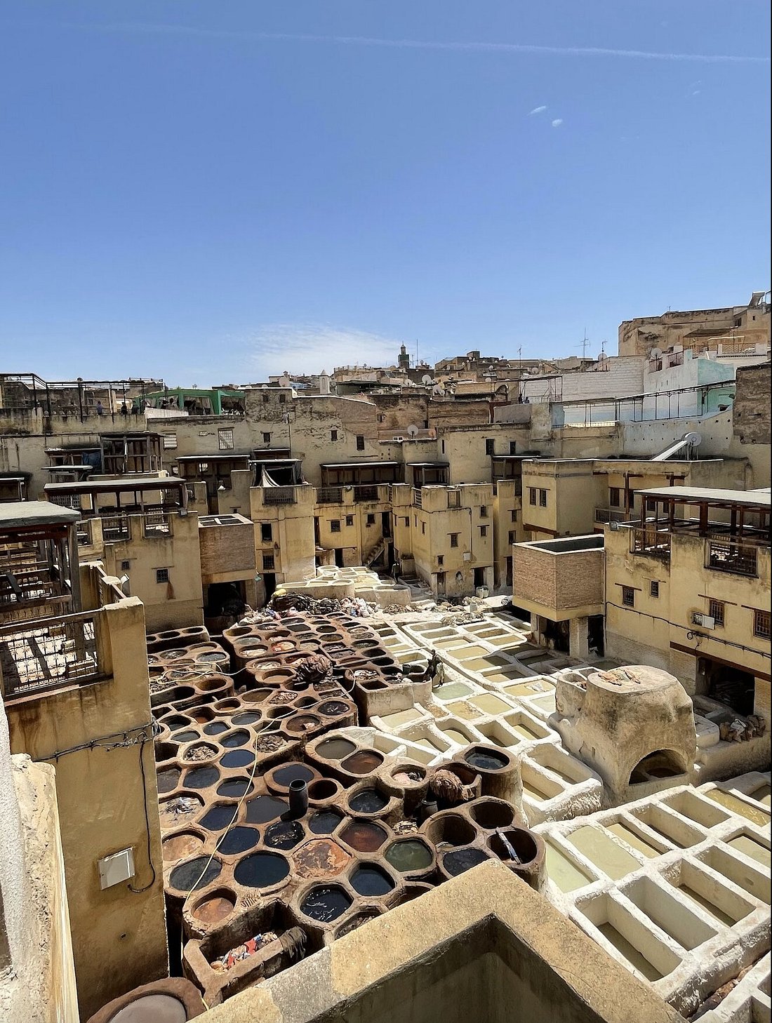 Discover Fes Medina