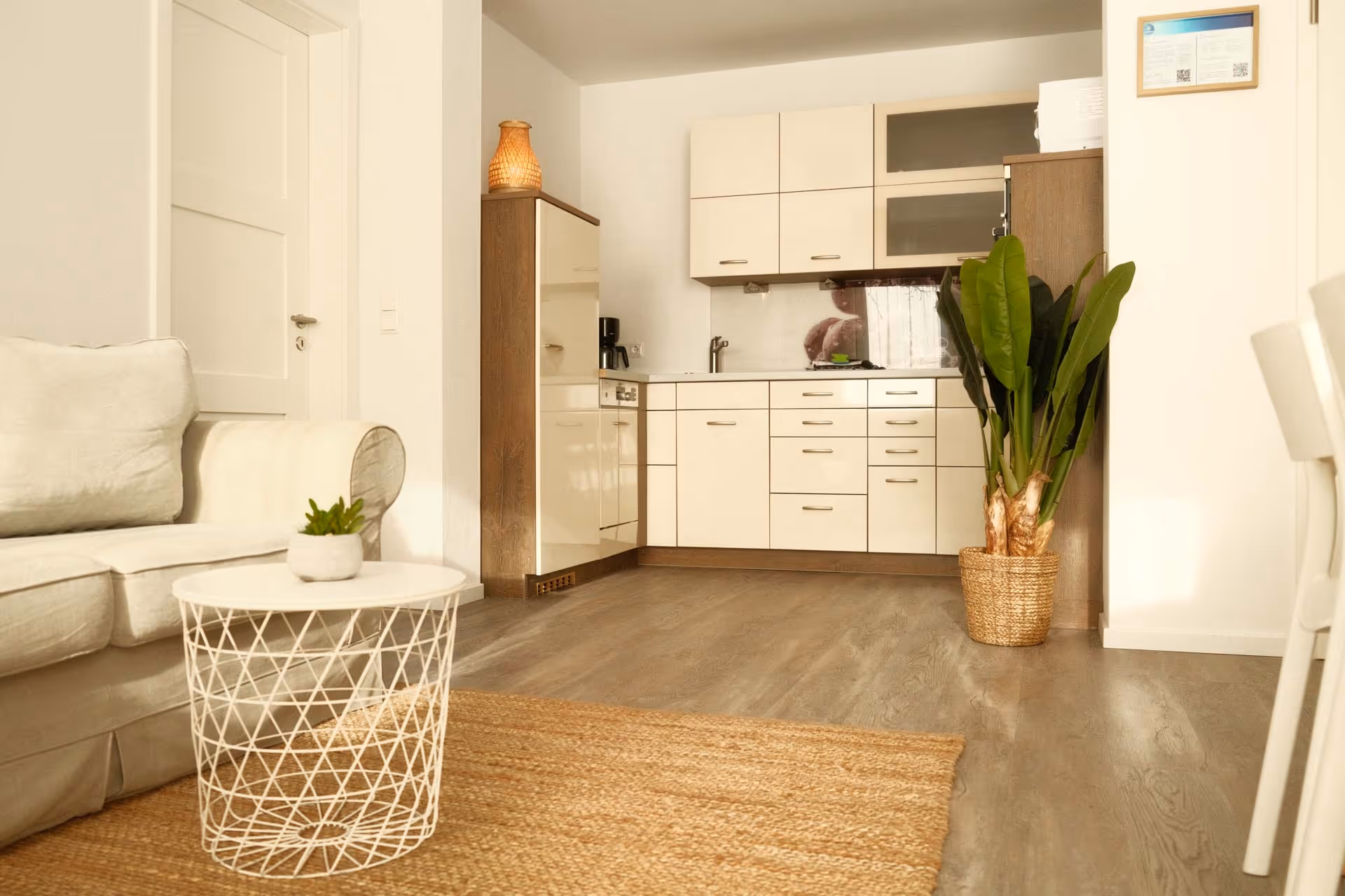 Kueche mit Sofa und Pflanze im Korb