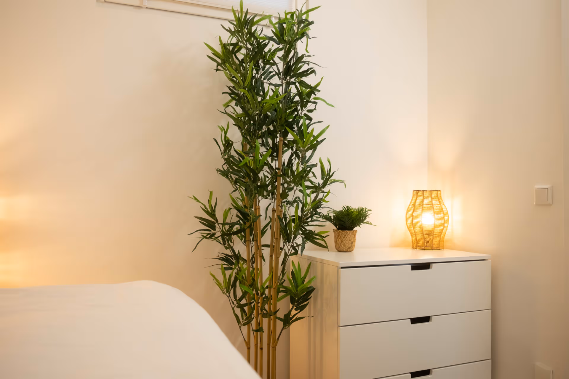 Pflanzen neben Kommode mit Rattanlampe