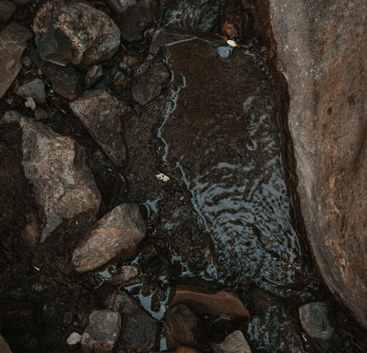 Close up of soil and rocks on the region