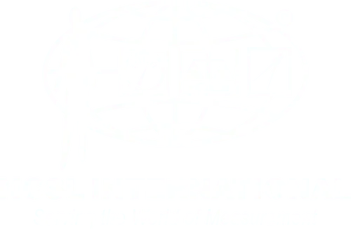NCSL International