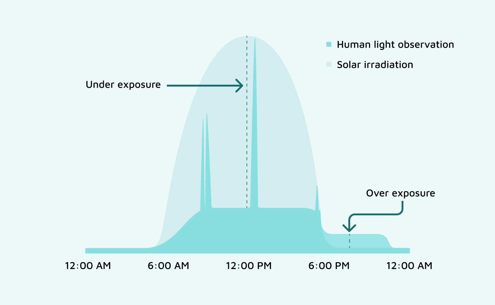 Graph showing human light exposure patterns