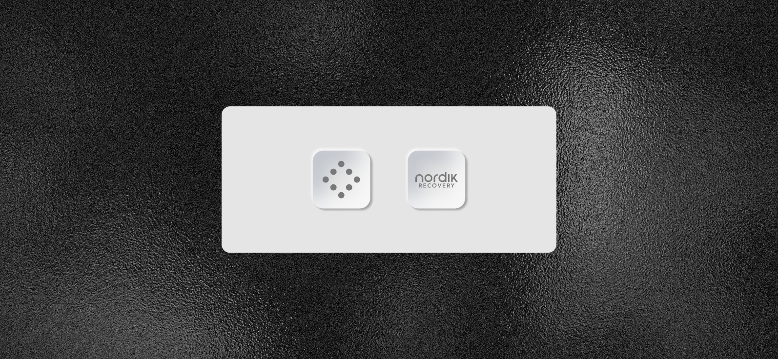 Artel Agency × Nordik Recovery