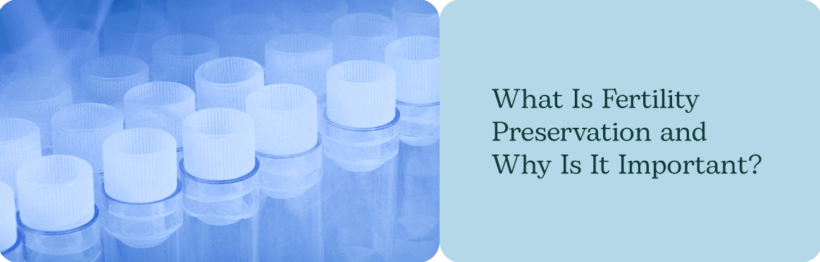 fertility preservation options