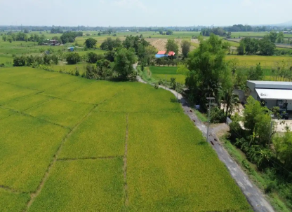 Drone view of a plot of land Chiang Mai