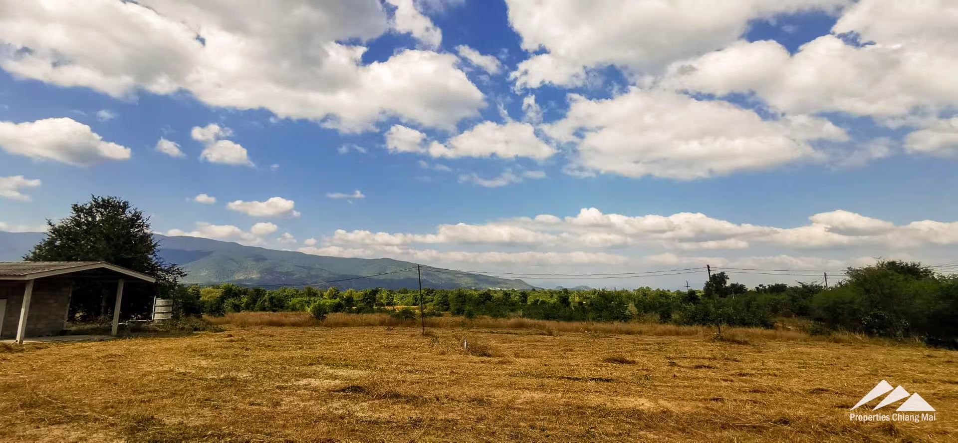 55 Rai of Land For Sale 1km. From Ping River