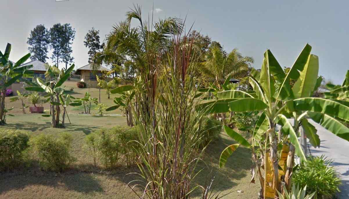 Chiang Mai Real Estate| Resort for Sale, Tranquil Oasis with Land