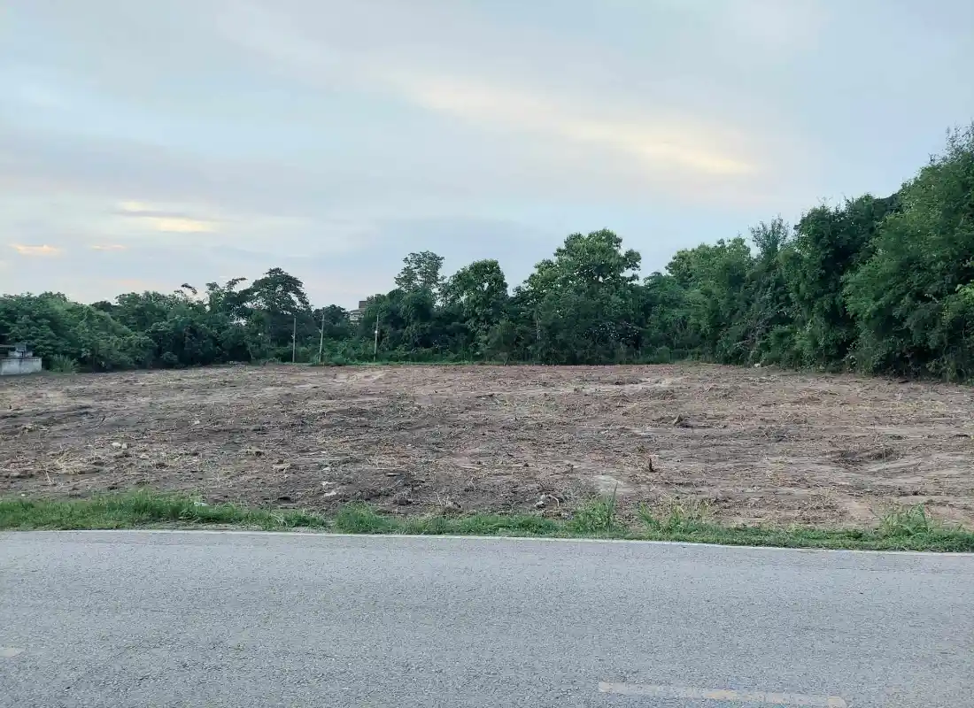 Premium Land for Sale Mae Rim Chiang Mai