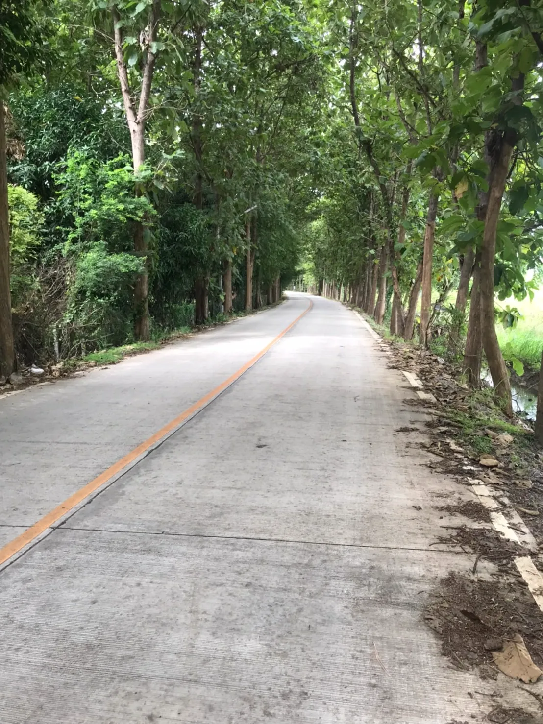 Land for Sale in Chiang Mai | 25 Rai with Excellent Accessibility.