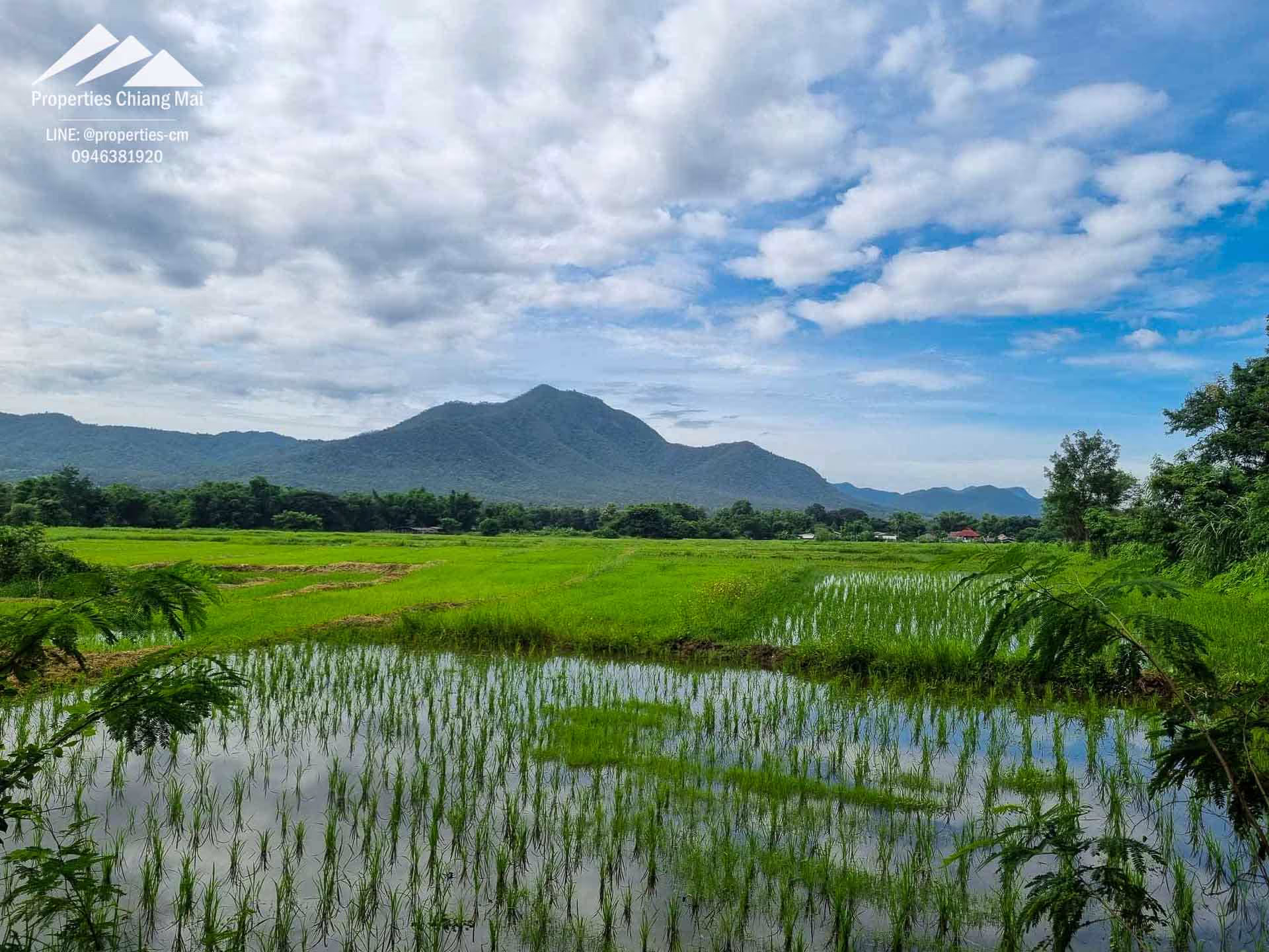 Large 52 Rai Of Land With Mountain Views Ready For Development