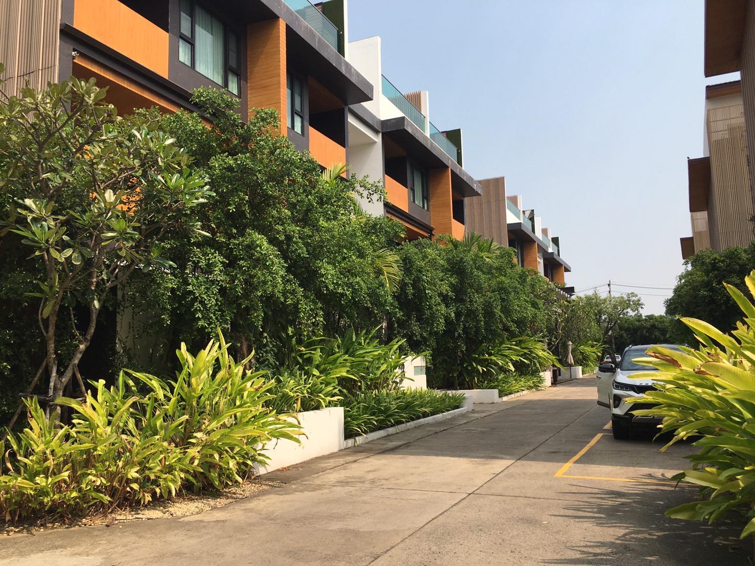 Resort Style Pool Suite Condo for Sale Chiang Mai | Mae Hia 2.39M Baht