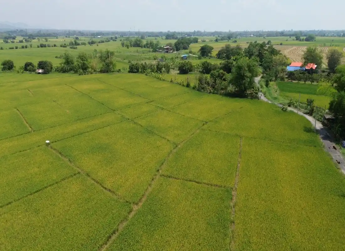 Vacant Land in San Pong Mae Rim Chiang Mai