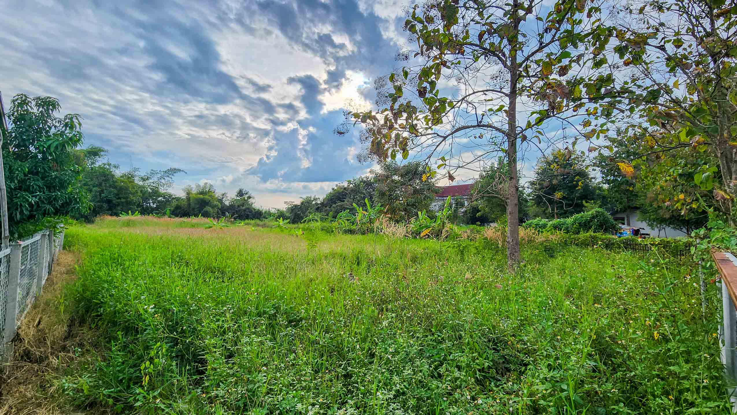 Land - Residential - For Sale - San Kamphaeng, Chiang Mai