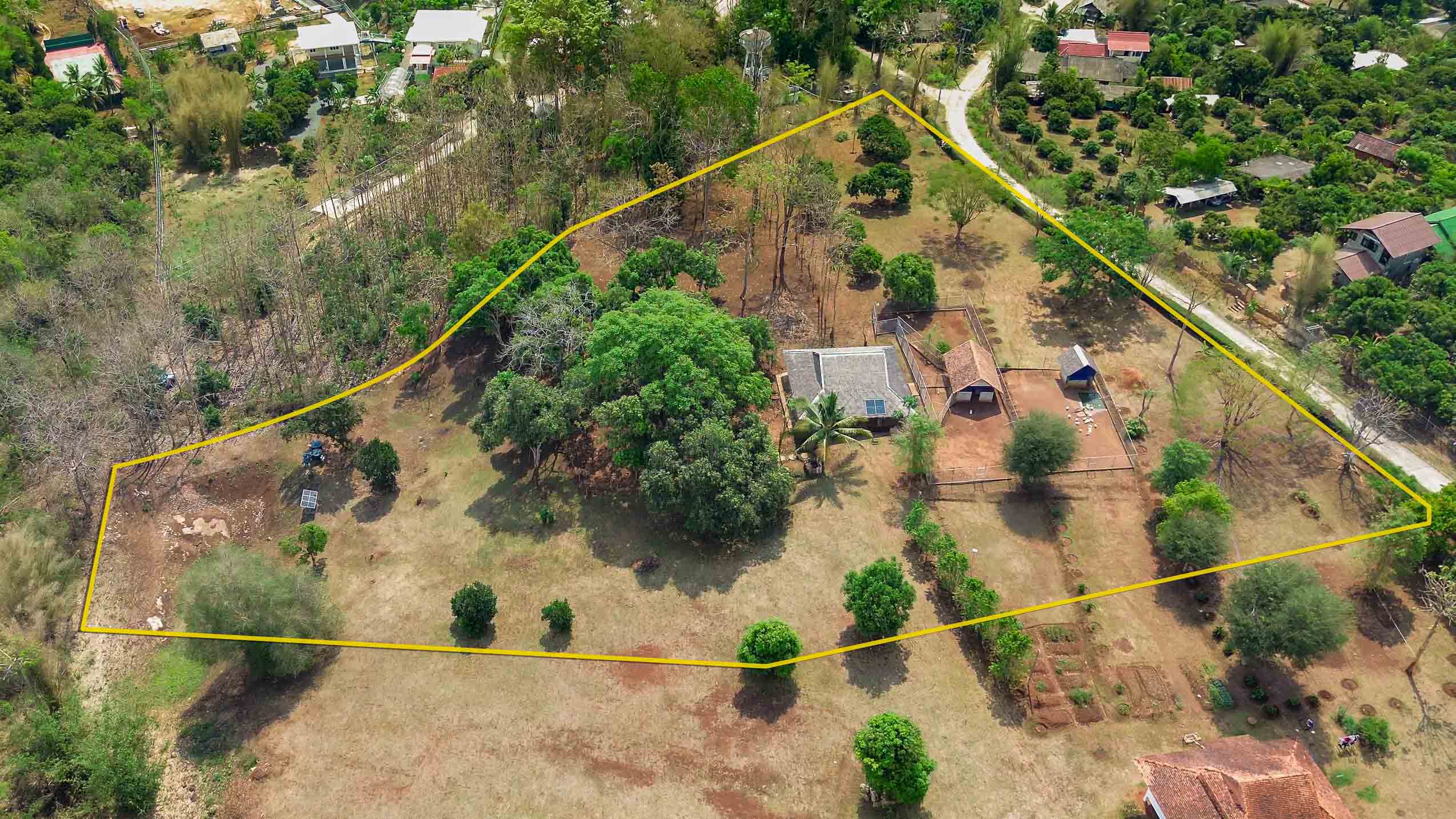 7.5 Rai Land Plot With Water, Electricity, Mature Trees