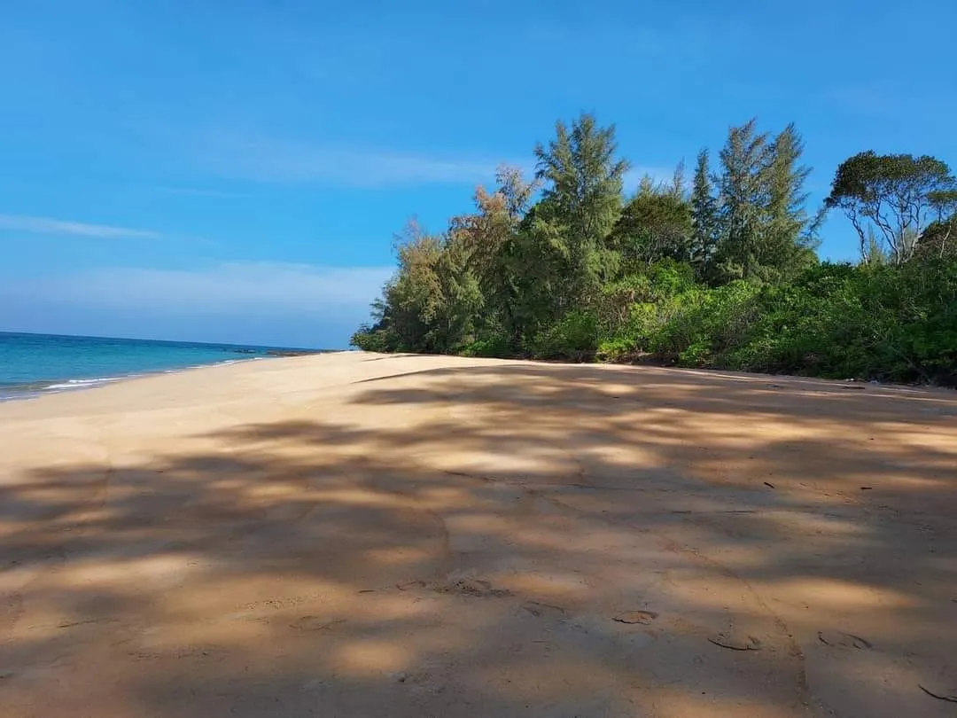 Luxury 50 Rai Beachfront Estate for Sale | Phang Nga, Thailand